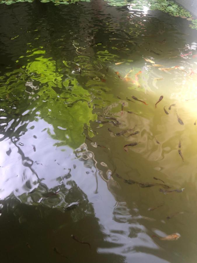 Habitation Santos 6 Personnes Terre De Haut Les Saintes Zewnętrze zdjęcie